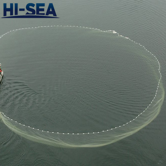 Purse Seine Net